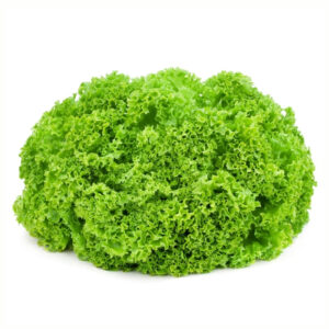 Lollo Bionda Green Lettuce