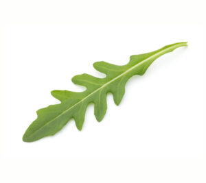 Salad Rocket, Uber