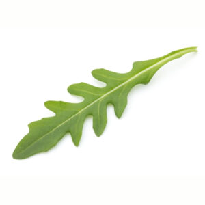 Salad Rocket, Uber