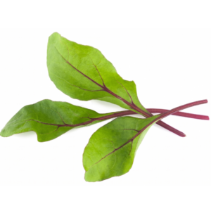 Swiss Chard Red Chard