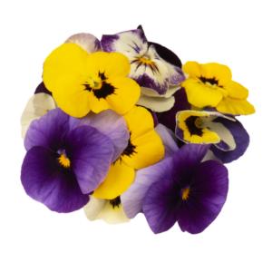 Edible Flowers
