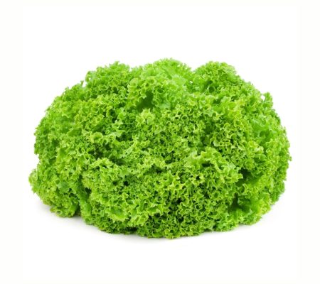 Lettucee