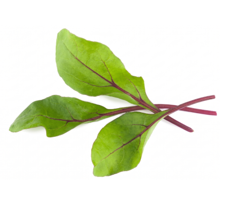 chard swiss
