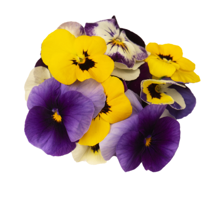 edibleflowers