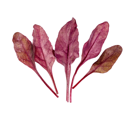 five redd